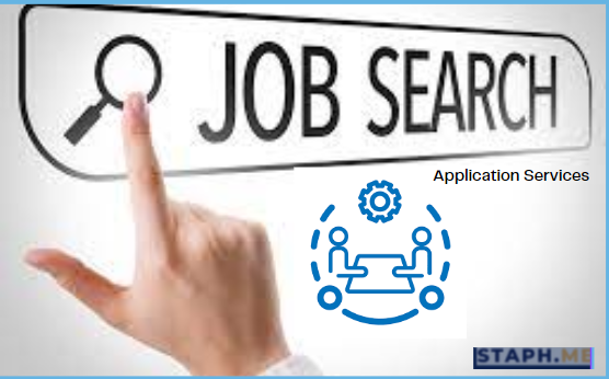 professional job application services
